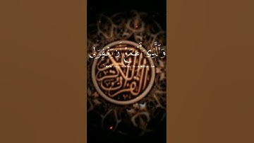 🤲 #القرآن_الكريم #cute آيات بينات من الذكر الحكيم سكينة وطمأنينة وراحة نفسية #اكسبلور