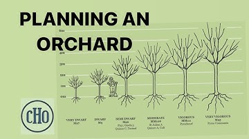 Planning an Orchard - Orientation, Rootstocks and Pruning