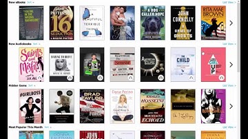 The cloudLibrary app for Windows and eink Nook and Kobo readers.
