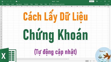 Cách lấy dữ liệu chứng khoán trực tiếp trên Excel (tự động cập nhật)
