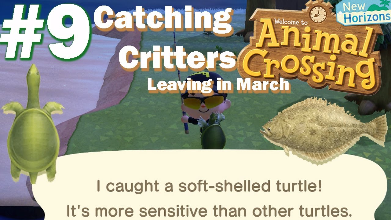 Animal Crossing: New Horizons | Hunting Fish & Bugs Leaving in March | Soft Shell Turtle & More - YouTube animal-crossing-new-horizons-hunting-fish-bugs-leaving-in-march-soft-shell-turtle-more-youtube