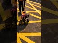 Small Paint Marking Machine Process #shorts