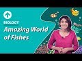 Amazing World of Fishes | Diversity In Living Organisms | Biology | Class 9