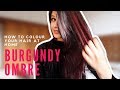 DIY - HOW TO COLOUR YOUR HAIR AT HOME | L’Oréal Colorista Burgundy  20
