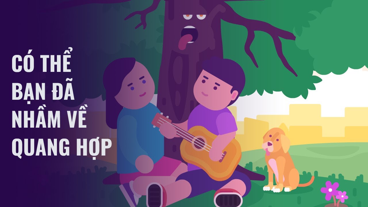Có thể bạn đã nhầm về quang hợp - youtube