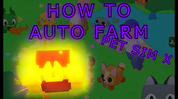 HOW TO AUTO FARM PET SIMULATOR X