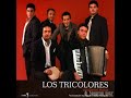 Los Tricolores - Cuecas con Daniel Muñoz