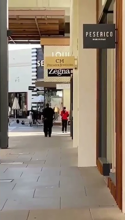 San Francisco Louis Vuitton store emptied by robbers; video shows
