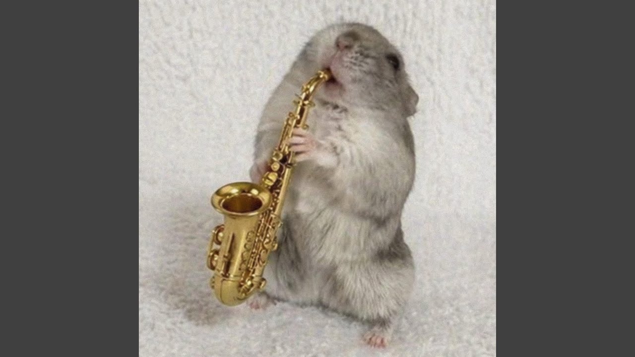 Watch feel it move on YouTube Watch feel it move on YouTube