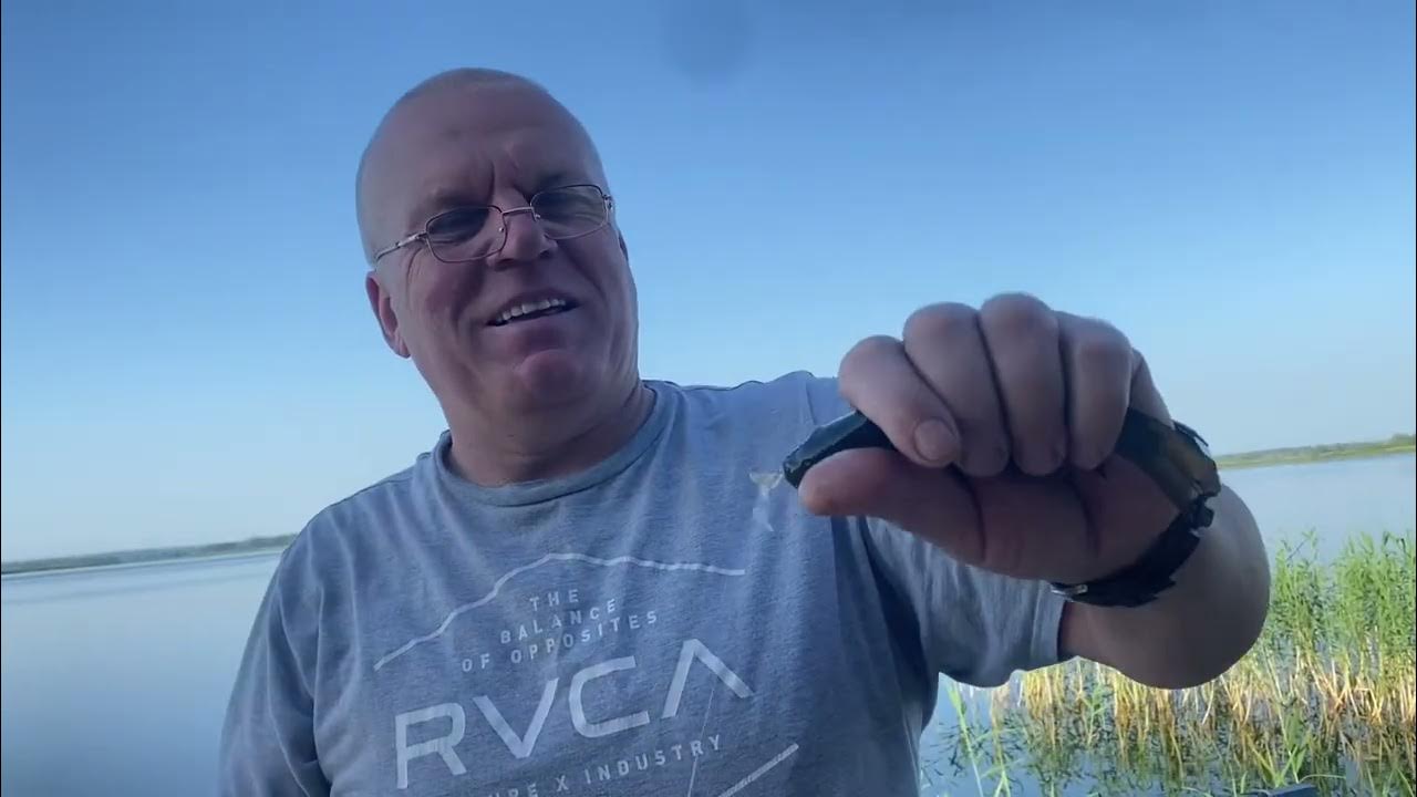 журавлев лайф