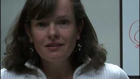 Transplantation of chimeric zebrafish embryos