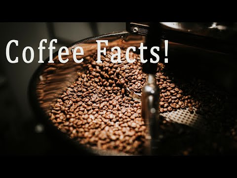 ผลสลากกินแบ่งรัฐบาล วันที่ 1 พย. 2567