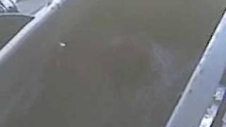 VID 00004