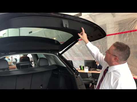 Adjusting Trunk Height