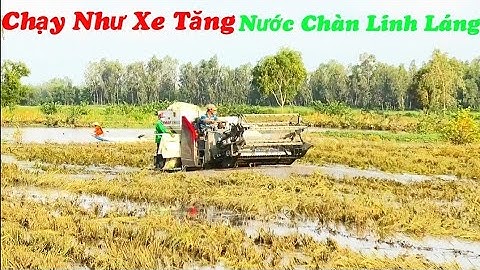 Toàn cảnh máy cắt kubota DC70 cùng yanmar YH850 loại nước trong con đập đáng sợ nhất rice reaper