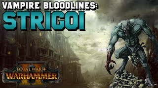 Vampire Counts Bloodlines Strigoi Vampire Lore Strygos Empire Total War Warhammer 2
