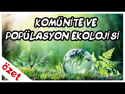 Komünite ve Popülasyon Ekolojisi Özet