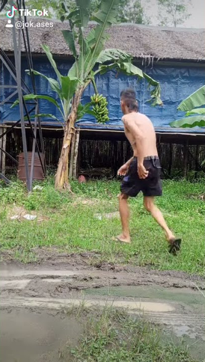 Jangan di tebang karna itupun pisang Orang.