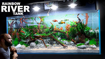 De Rainbowfish River Tank: EPIC 4ft Aquascape Tutorial