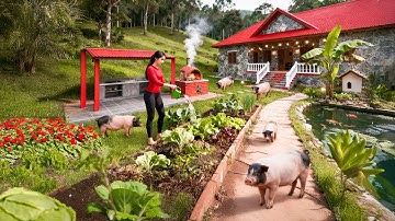 TIMELAPSE – Building a Self Sufficient Garden Around My Small House – Simple Life, Big Dreams!