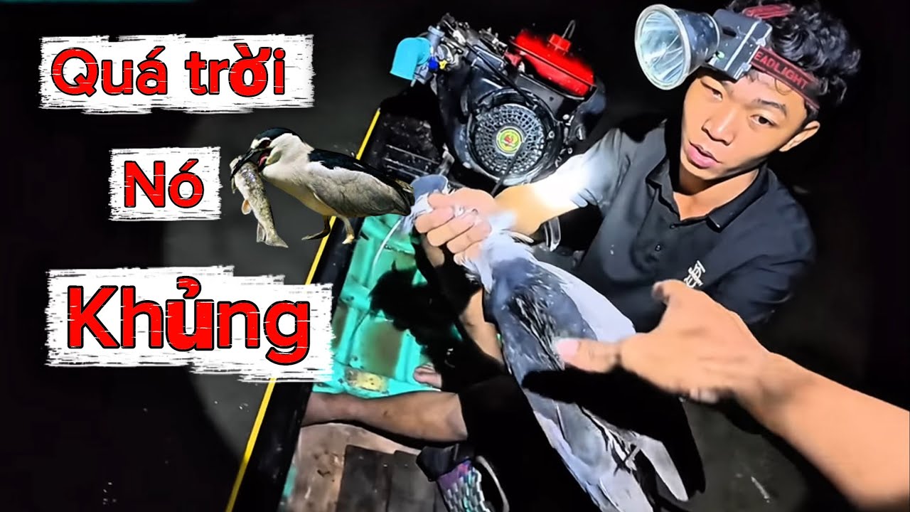 Săn vạc ăn đêm ở điểm mới lạ cùng ae auto