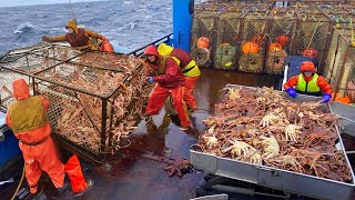 Amazing Kinh Crab Traps on the Modern Vessel - You Won