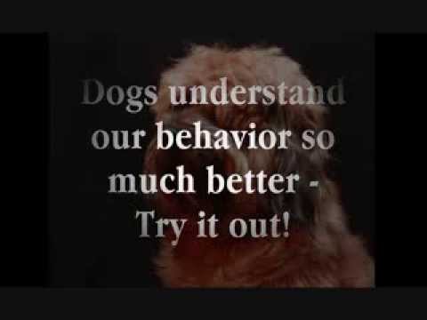 dog-training-toolkit:-a-practical-approach-to-a-better-dog-human-relationship---for-dog-lovers-only!