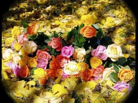 “ვინ იფიქრებდა“ მაია სიჭინავა /Author songs maia sitchinava