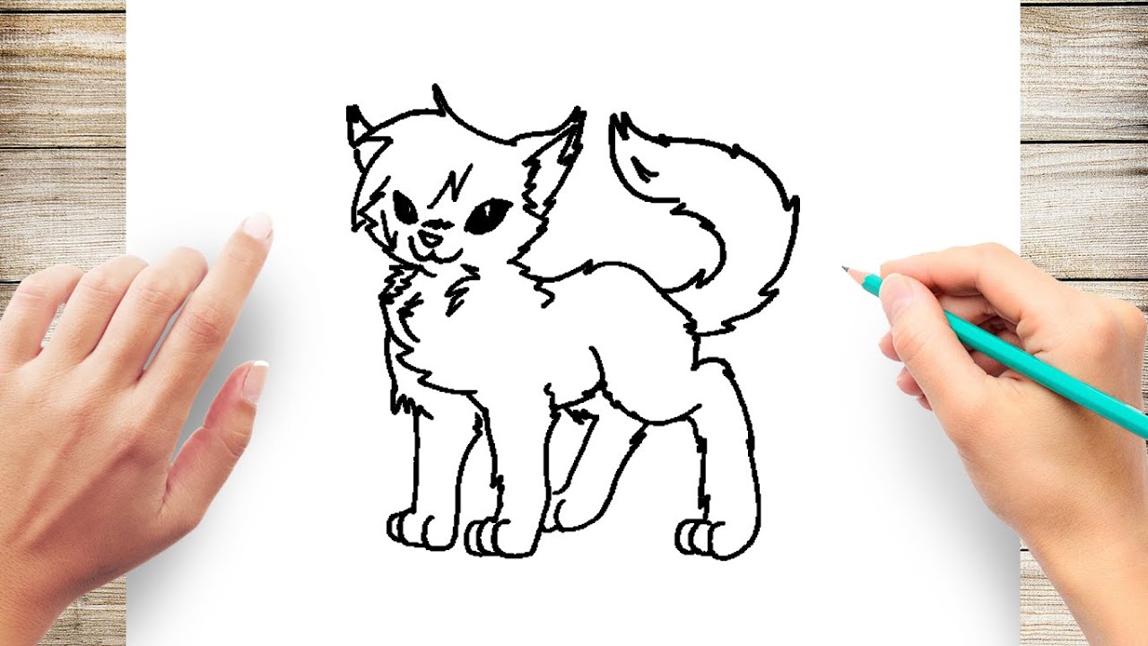 How to Draw Warrior Cats Step by Step - YouTube