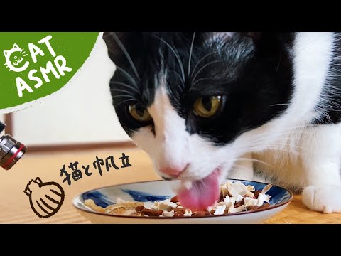 ?ASMR｜帆立の混ぜごはんを食べる猫【咀嚼音】