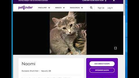 Using jquery to display json data obtained from Petfinder API v2.0 part 2 of 2 jquery/json