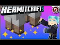 The Hooves that Never Touched the Ground! - Hermitcraft 9: #49