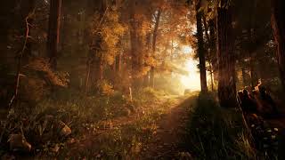 #3dartstation forest environment