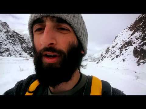 ძაღლებისგან თავდაღწეული