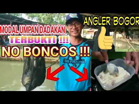 BEGINI CARANYA MEMBUAT UMPAN IKAN MAS DADAKAN SEADANYA,BISA DI BUKTIKAN