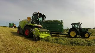 The Beginning of Silage 2020
