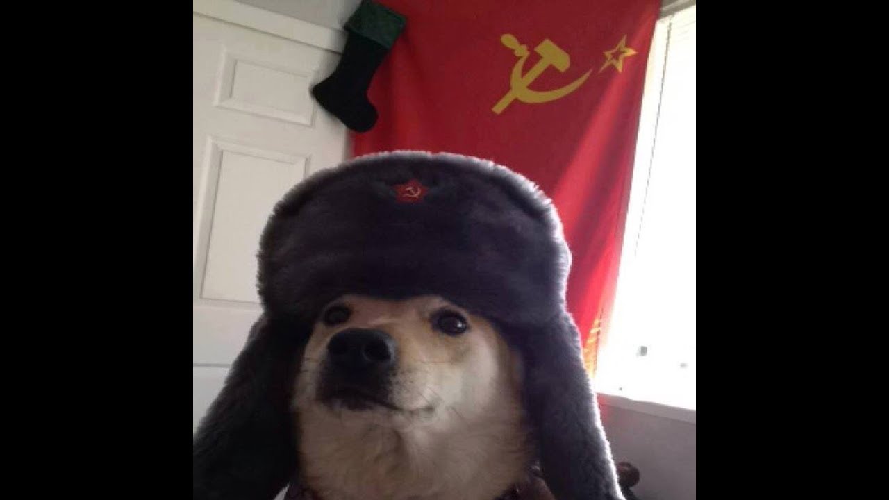 Kako "igrati" Nasusa REUPLOAD