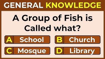 Think You’re Smart Enough to Beat This Quiz? Only True Geniuses Can Score 100%