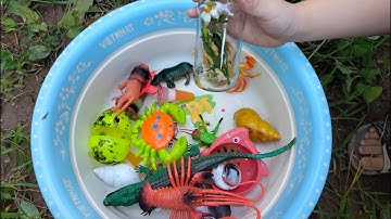 Binbotv ra vườn chơi tìm bắt cào cào và nhặt được các con vật con ốc sên, con cua, con tôm part 61