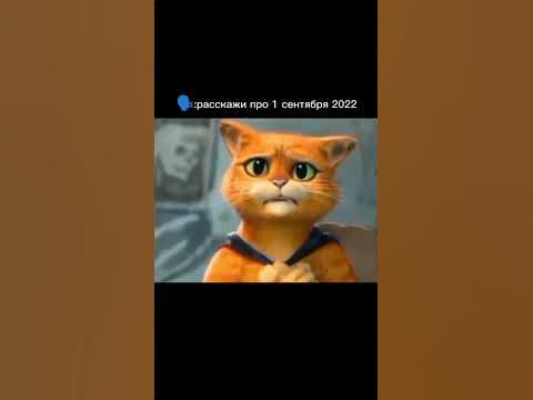 #флешбеки - YouTube