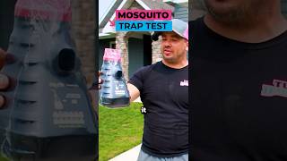Do Mosquito Traps Work mosquito pests pestcontrol insects