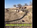 तालिबान और अमेरिका की जंग वाली जगह! 😨 अफ़ग़ान गांव का डरावना सच
