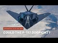 Could the F-117 dogfight?