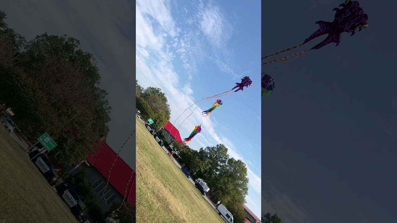 Purple goldfish kite and turbines flew for Southern Maryland Pride 2021