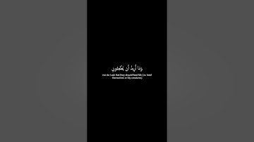 🔥وما خلقت الجن والإنس إلا ليعبدون..🔥ماتيسر من سورة الذاريات🍀Surah Adh-Dhariyat🍀