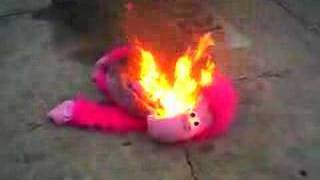 Burning Monkey