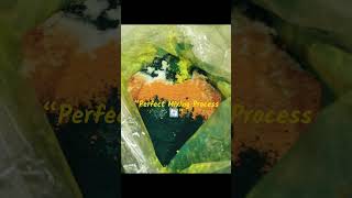 Plastic PP Green Dana Malikng 😳 | Plastic Granules Making Process 🔥