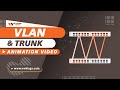 Hindi vlan  trunk  animation  network kings