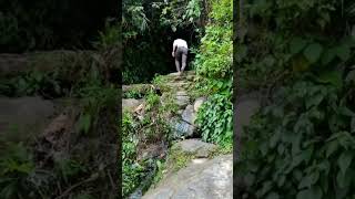 #srikona #waterfalls ⛲ #silchar || #short #video @2jittuber813