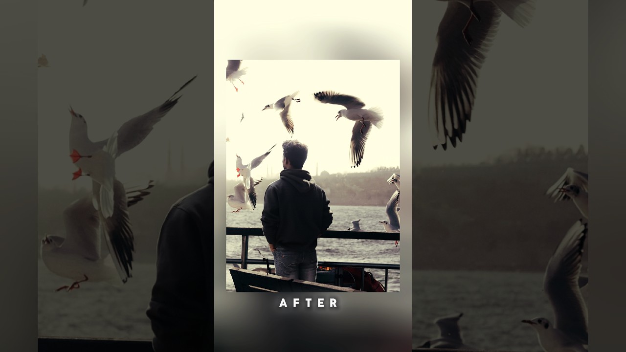 Realistic birds photo manipulation ( speed art)  